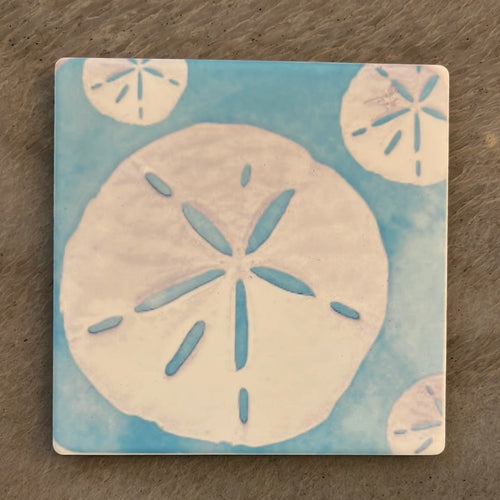 Sand Dollars on blue coaster